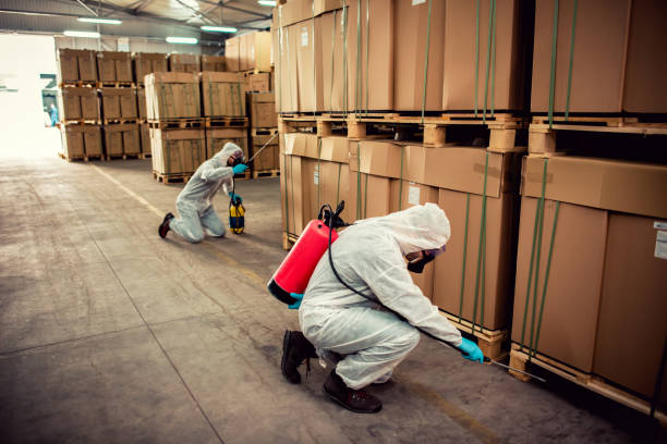 Reliable Elkins, WV Pest Control Solutions
