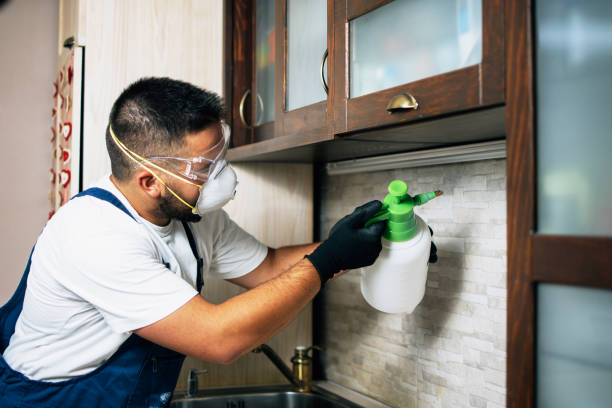 Best Best Pest Control Companies  in Elkins, WV